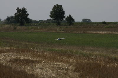 IMG 5932